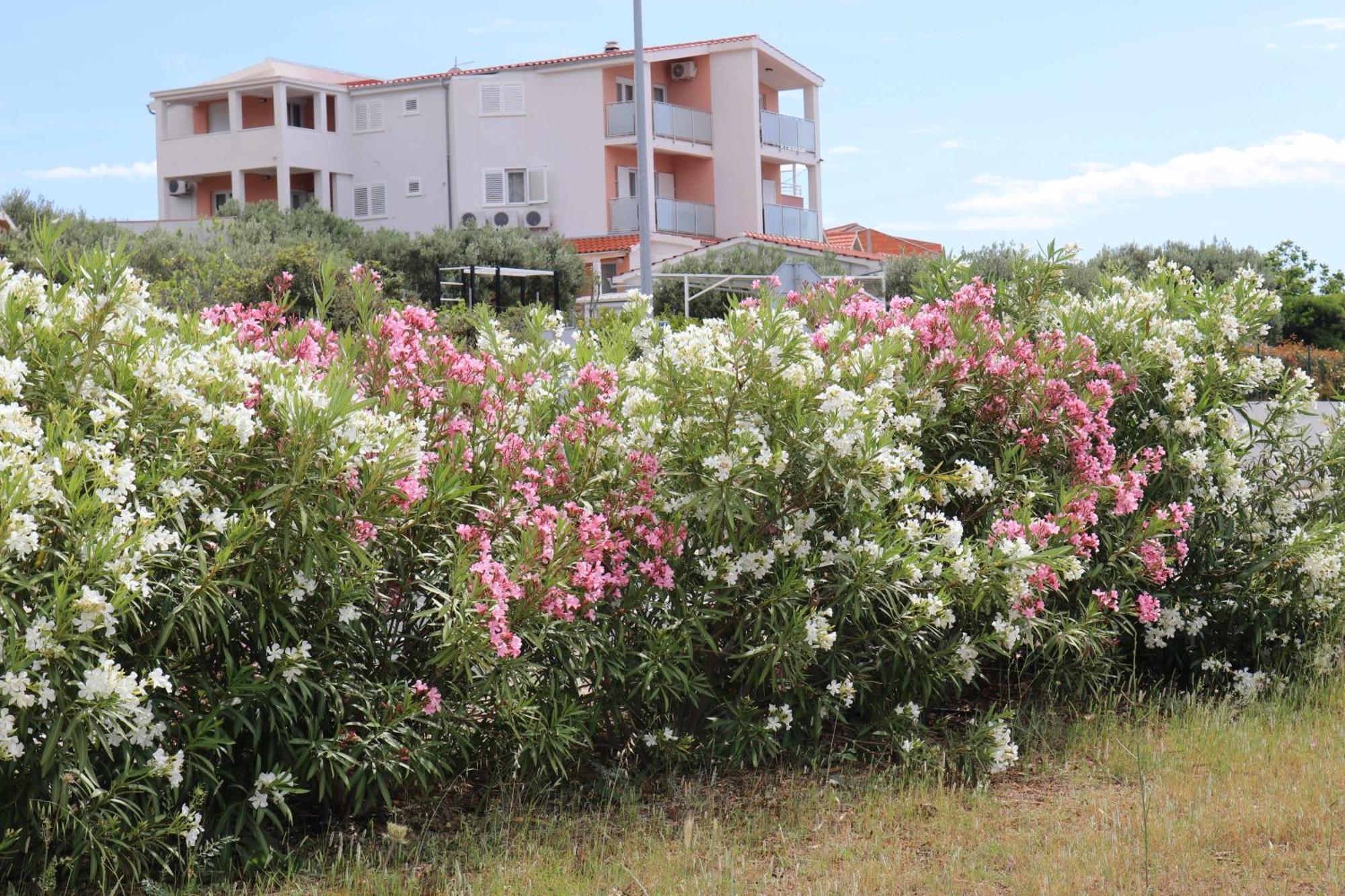 Apartman Bilokapic *